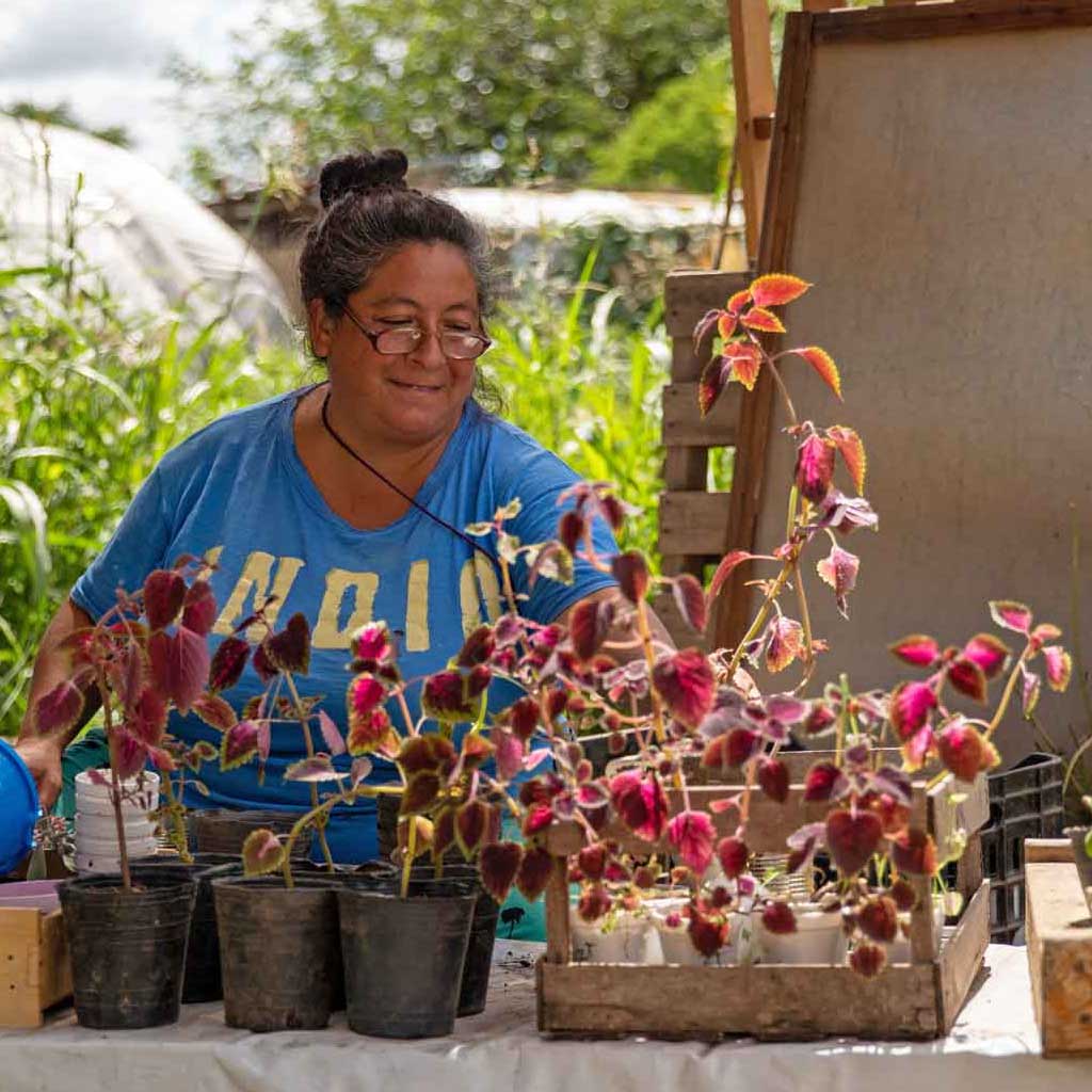 Sweets and Snacks Screencap